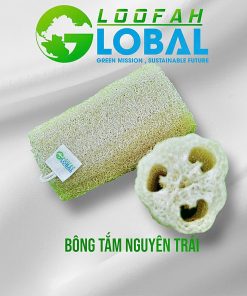 Bông tắm  xơ mướp nguyên trái