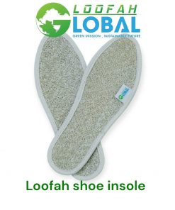 Loofah shoe insole