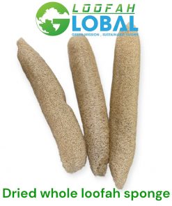 Dried whole loofah sponge