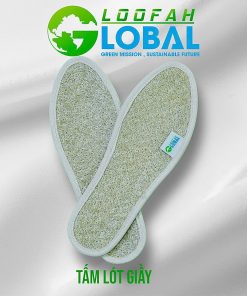 Tấm lót giày xơ mướp