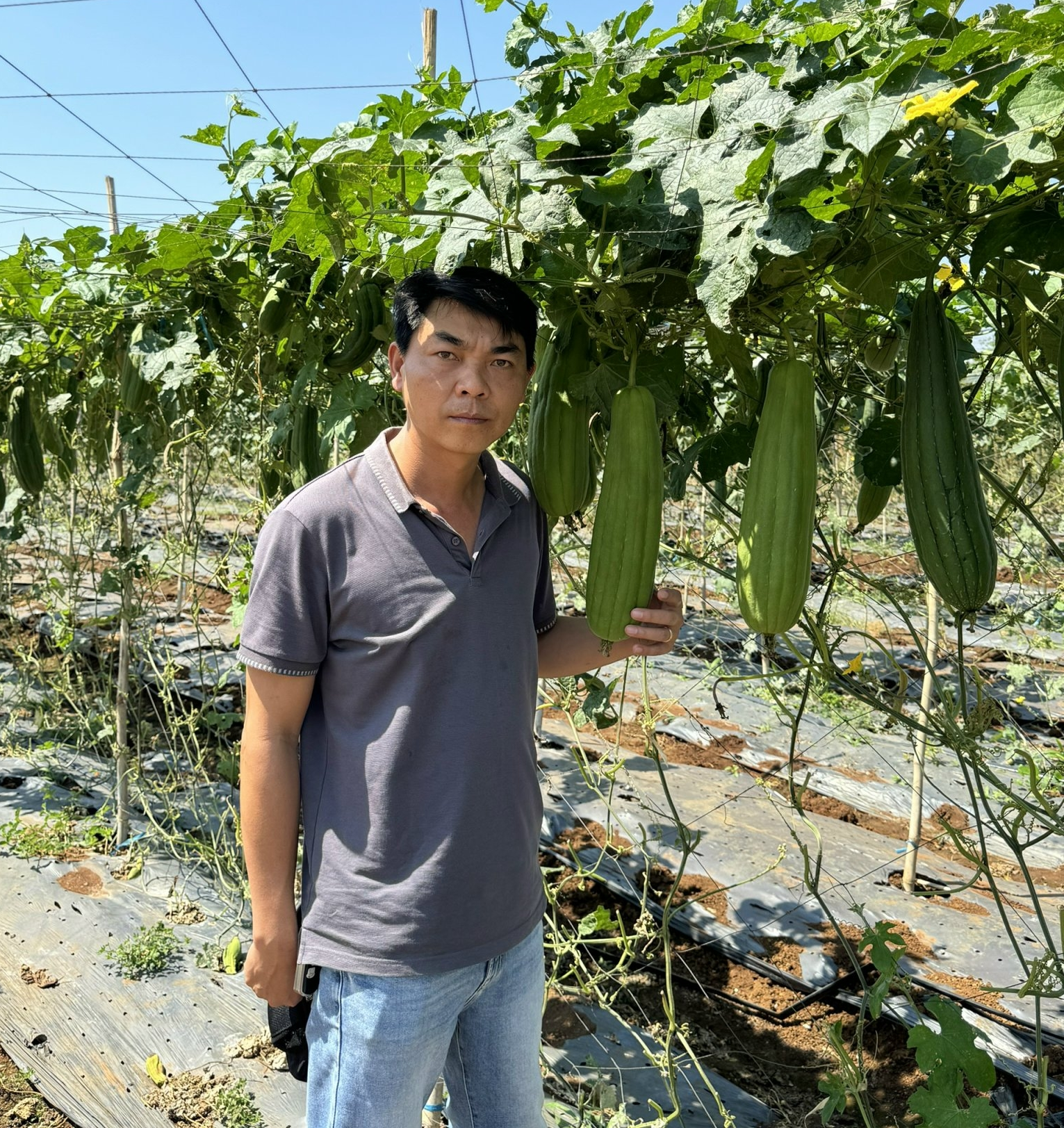 Nguyễn Phú Tùng – người định vị “thời trang xanh” làm từ xơ mướp