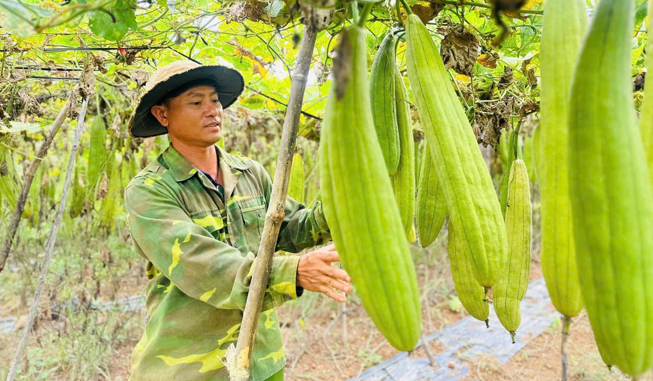 Nguyễn Phú Tùng – người mang “thời trang xanh” đến người tiêu dùng