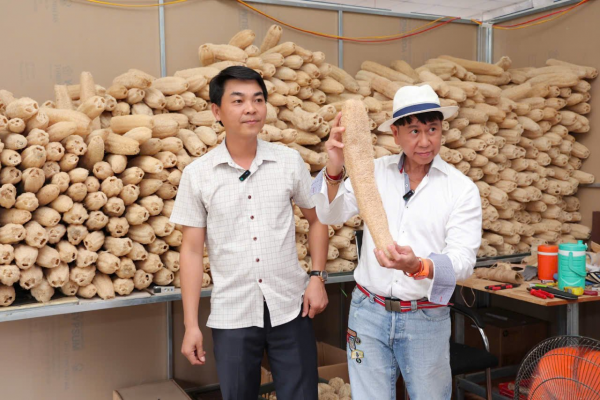 “Thời trang xanh” từ xơ mướp