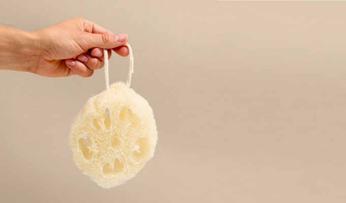 9 Lợi Ích Tuyệt Vời Của Xơ Mướp Đối Với Làn Da Và Sức Khỏe