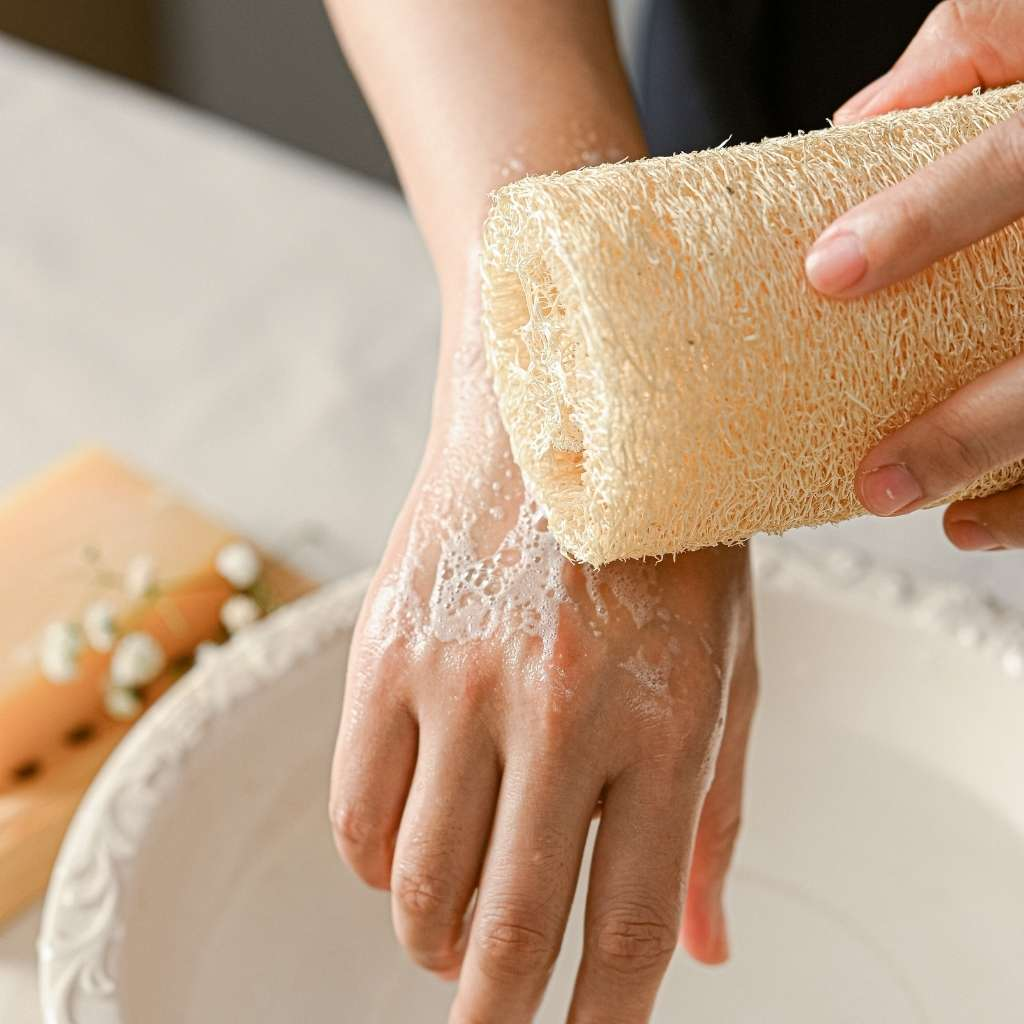 9 Lợi Ích Tuyệt Vời Của Xơ Mướp Đối Với Làn Da Và Sức Khỏe