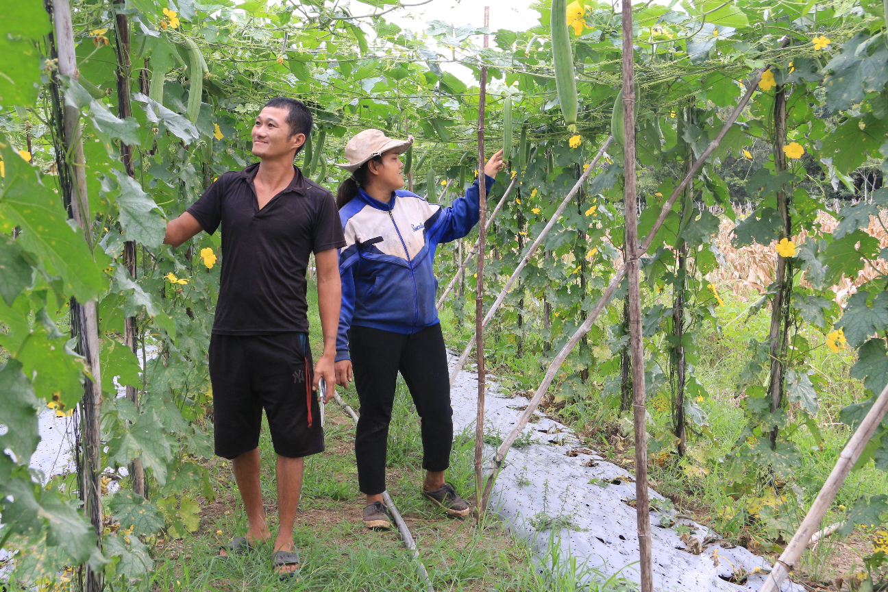 Biến thứ bỏ đi thành hàng thời trang xuất khẩu, doanh nghiệp thu tiền tỷ, nông dân Đắk Lắk làm giàu