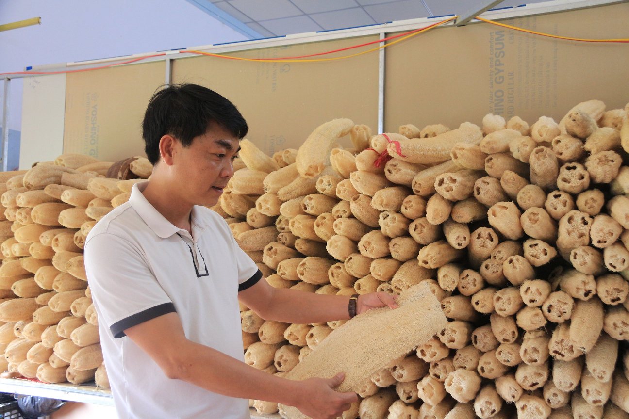 Biến thứ bỏ đi thành hàng thời trang xuất khẩu, doanh nghiệp thu tiền tỷ, nông dân Đắk Lắk làm giàu