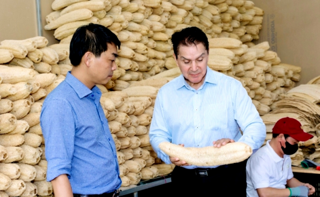 Biến xơ mướp thành sản phẩm thời trang