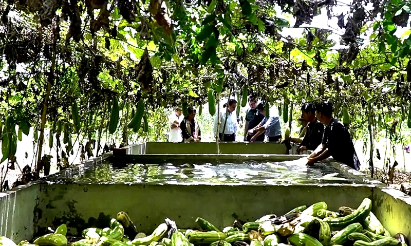 Biến xơ mướp thành sản phẩm thời trang