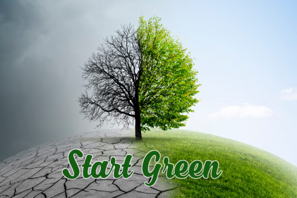 Doanh Nghiệp Tham Gia Chuyển Đổi Xanh Nên Bắt Đầu Từ Đâu? Quan Điểm Chuyên Gia
