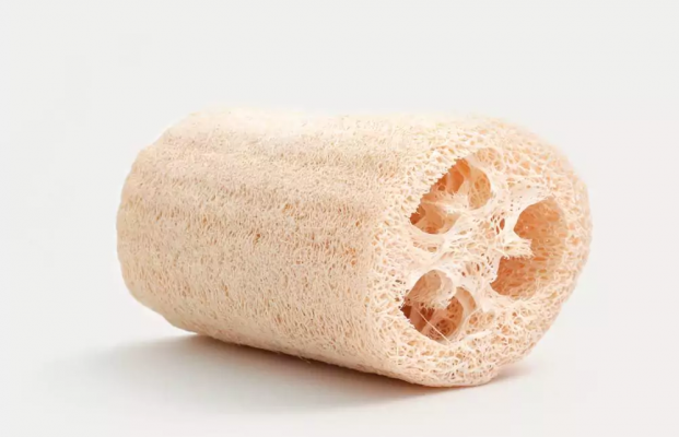 "Ðổi đời" cho… xơ mướp