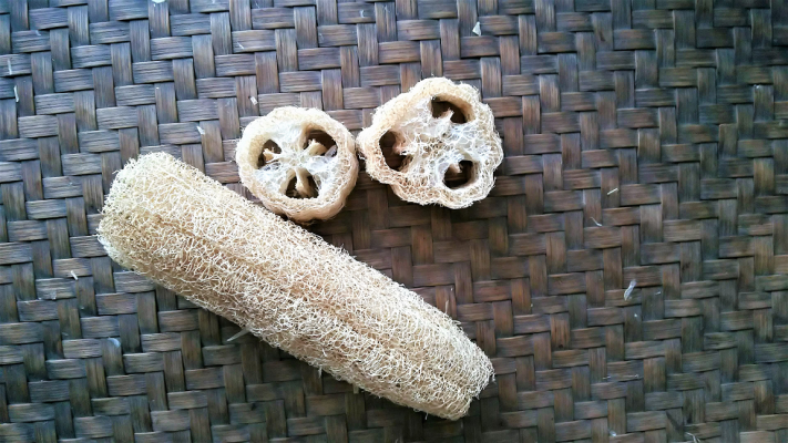 Sống Xanh Cùng Xơ Mướp: Hành Trình Trở Về Với Thiên Nhiên