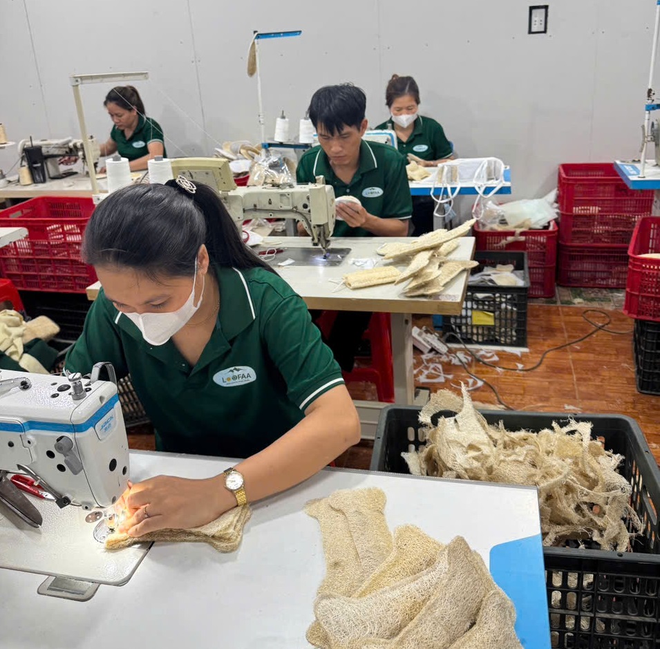 Câu chuyện xơ mướp xuất khẩu là một ví dụ điển hình cho thấy tiềm năng của kinh tế xanh