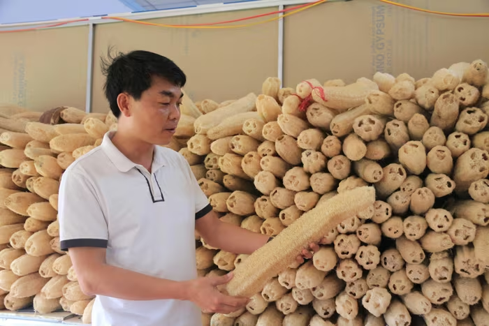 Anh Nguyễn Phú Tùng đã "hóa thân" cho Từ xơ mướp bình dị thành những mặt hàng độc đáo