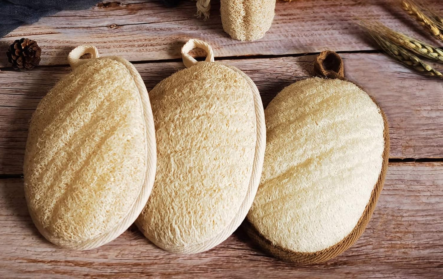 5 Lý Do Bạn Nên Dùng Xơ Mướp Ngay Hôm Nay