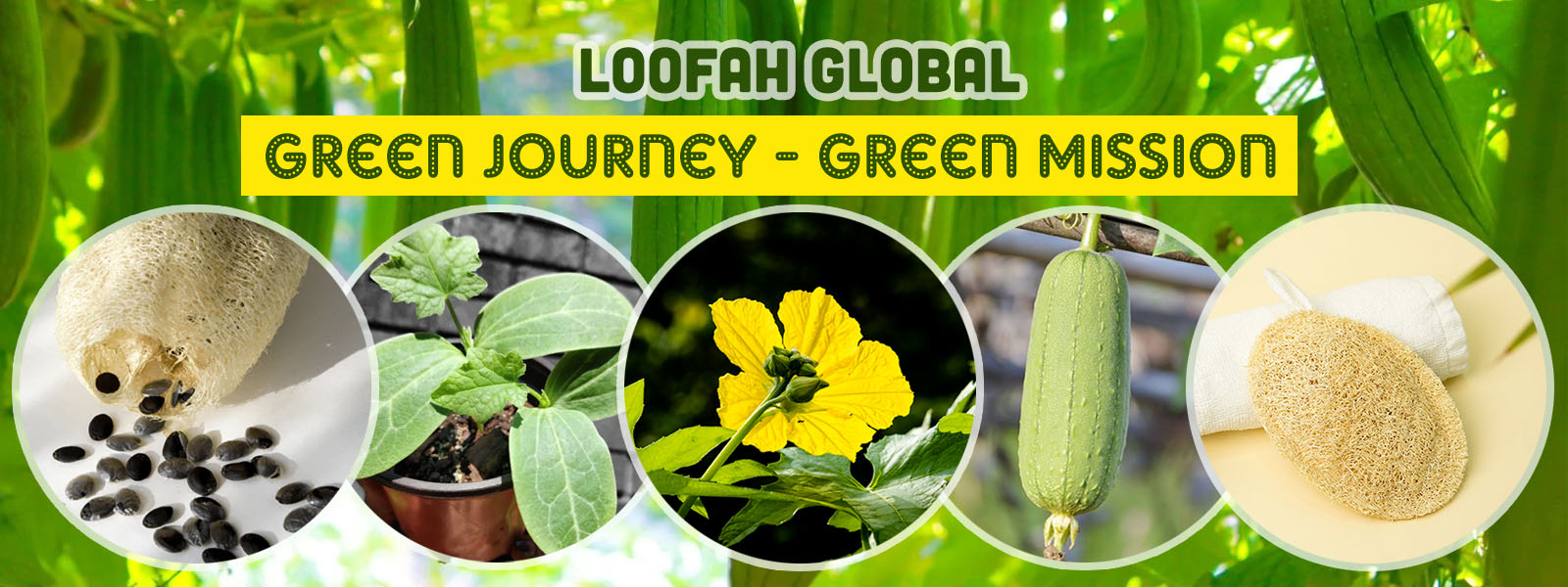 loofah global, green journey, green mission
