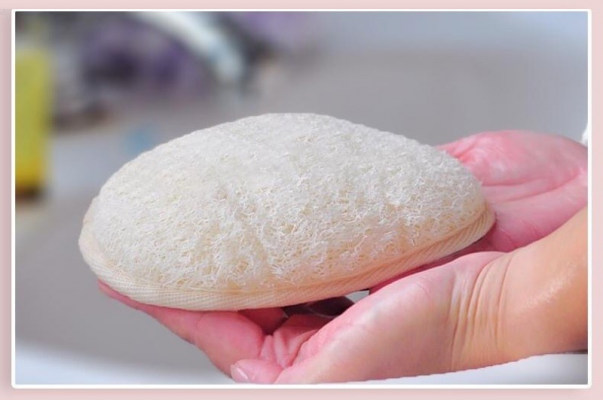 Khỏe Lợi Ích Tuyệt Vời Của Xơ Mướp Đối Với Làn Da Và Sức Khỏe