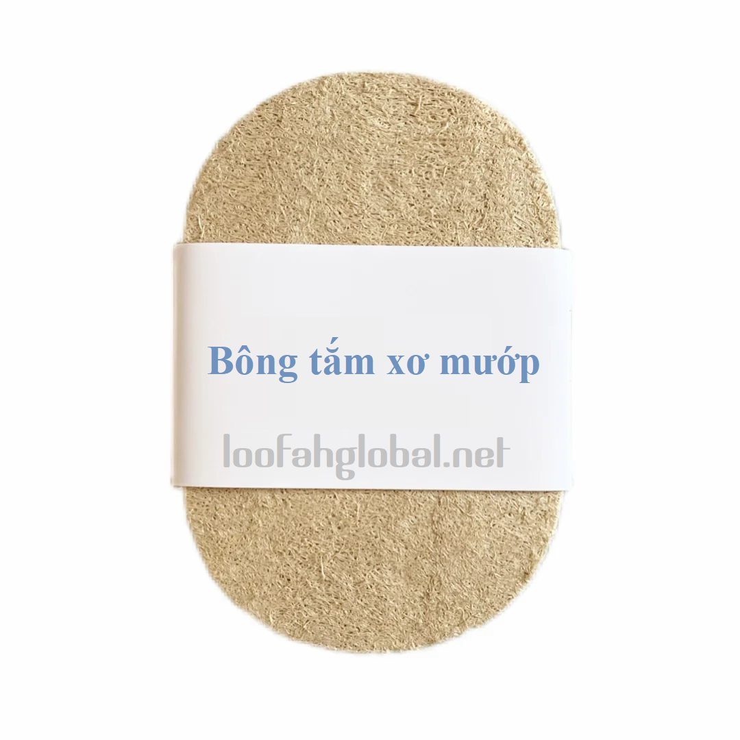 Lợi Ích Tuyệt Vời Của Xơ Mướp Đối Với Làn Da Và Sức Khỏe