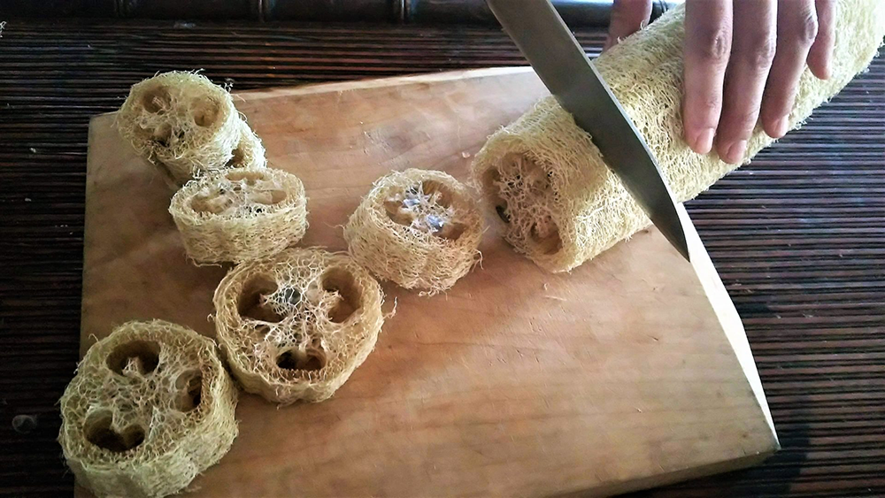 Tại sao nên thay miếng bọt biển rửa bát bằng miếng chà xơ mướp?