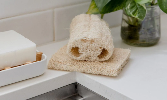 Tại Sao Xơ Mướp Là "Trợ Thủ" Tẩy Tế Bào Chết Tốt Nhất Cho Da?