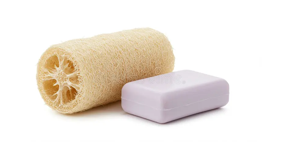 Tại Sao Xơ Mướp Là "Trợ Thủ" Tẩy Tế Bào Chết Tốt Nhất Cho Da?