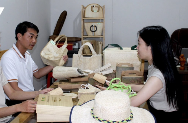 Thứ vứt vạ vật khi xưa nay bán ra tiền đô, chuyện làm giàu khác người ở Đắk Lắk