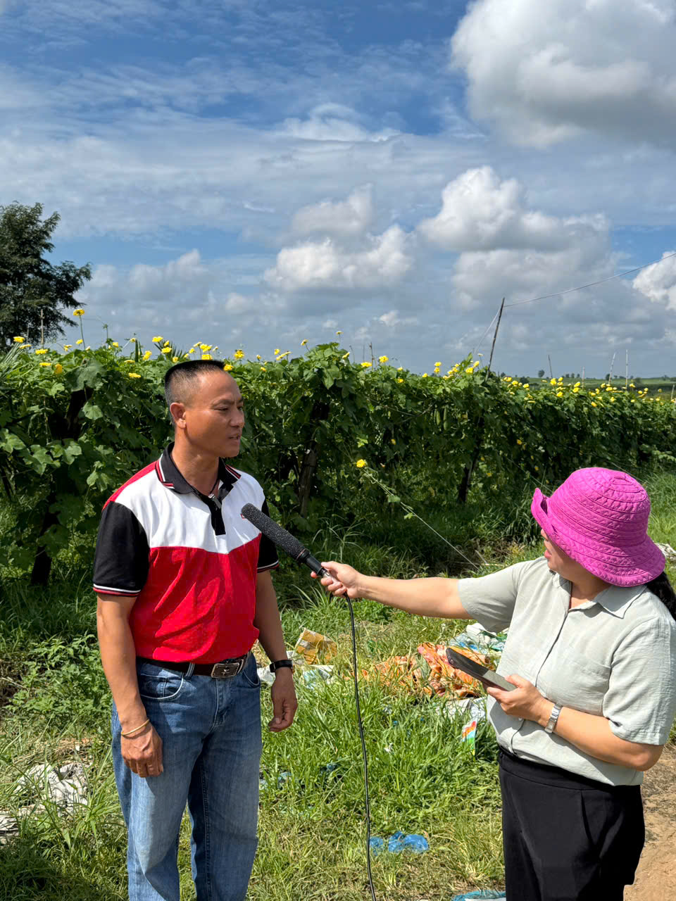 Tương Lai Nào Cho Xơ Mướp Việt?