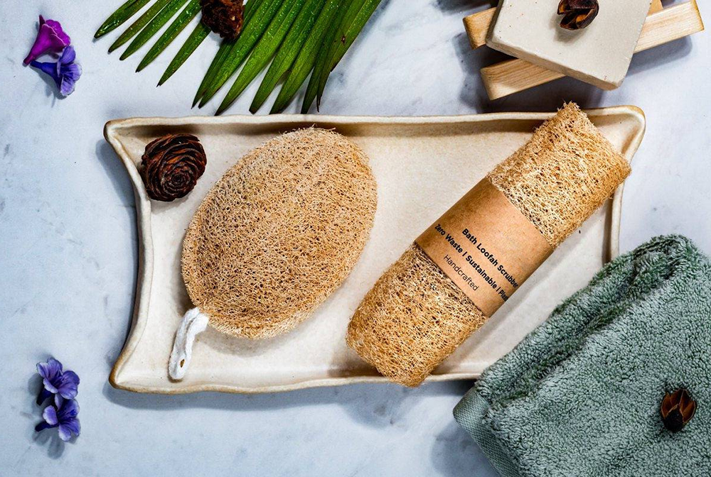 Xơ Mướp: Từ Vườn Nhà Đến Biểu Tượng Sống Xanh Bền Vững