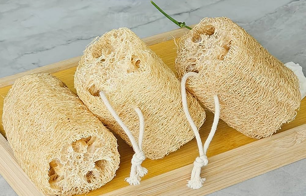 Loofah Global: Đưa Xơ Mướp Vào Khách Sạn 5 Sao
