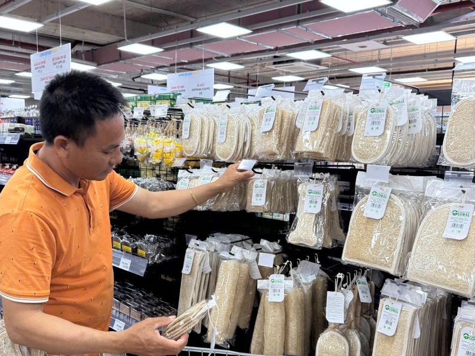 Loofah Global: Elevating Vietnam's Natural Loofah