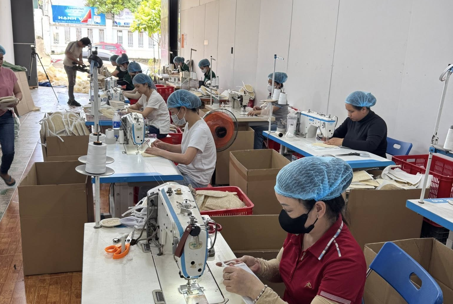 Loofah Global: Elevating Vietnam's Natural Loofah