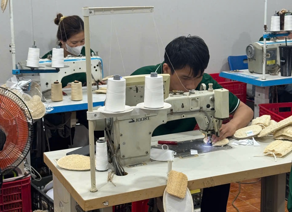 Loofah Exporting: Not a Game for the Short-Sighted