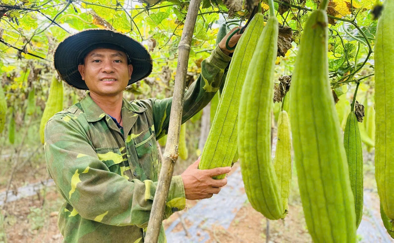 Loofah Exporting: Not a Game for the Short-Sighted