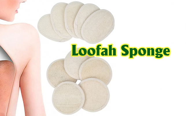 Loofah Sponge: The Secret to Elevating the 5-Star Resort Experience