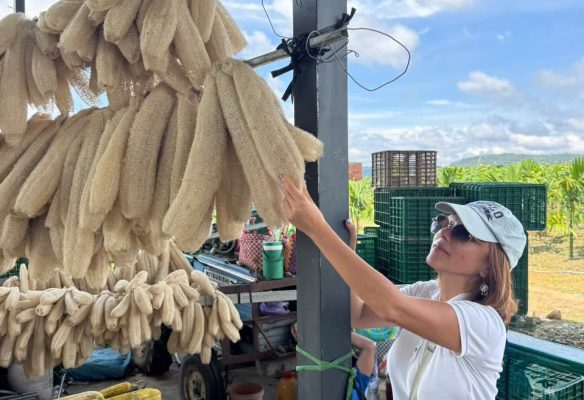 Xơ mướp Việt đi Tây: Hành trình 5 châu của một giá trị xanh