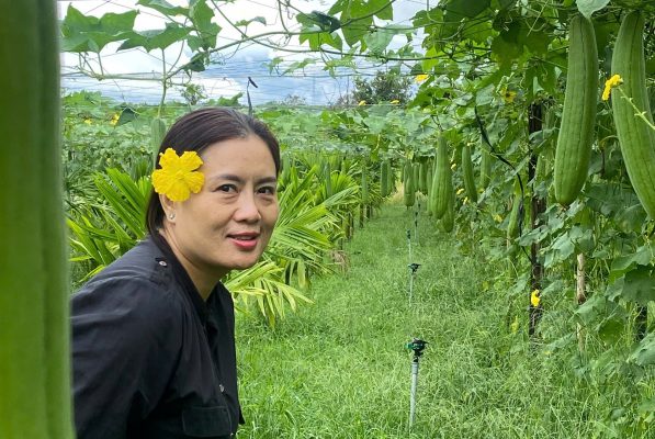 Xuất khẩu xơ mướp: Cuộc chơi không dành cho "kẻ ăn xổi"