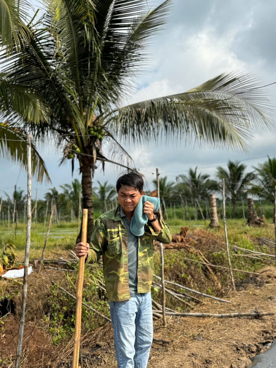 Growing Luffa for Sponges: From Seed to Golden-Yellow Sponge