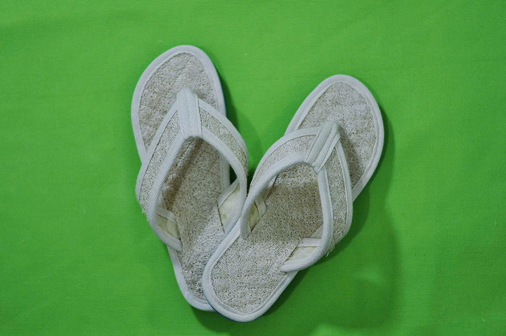 Vietnamese Loofah: A Proud Journey to Conquer 5 Continents