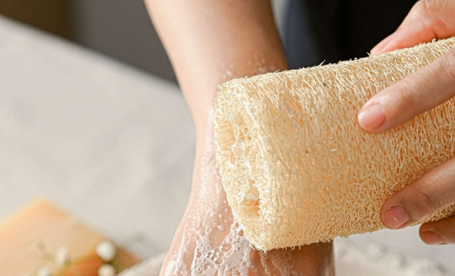 Lợi Ích Của Xơ Mướp: Từ Giàn Mướp Trong Vườn Đến Làn Da Rạng Rỡ