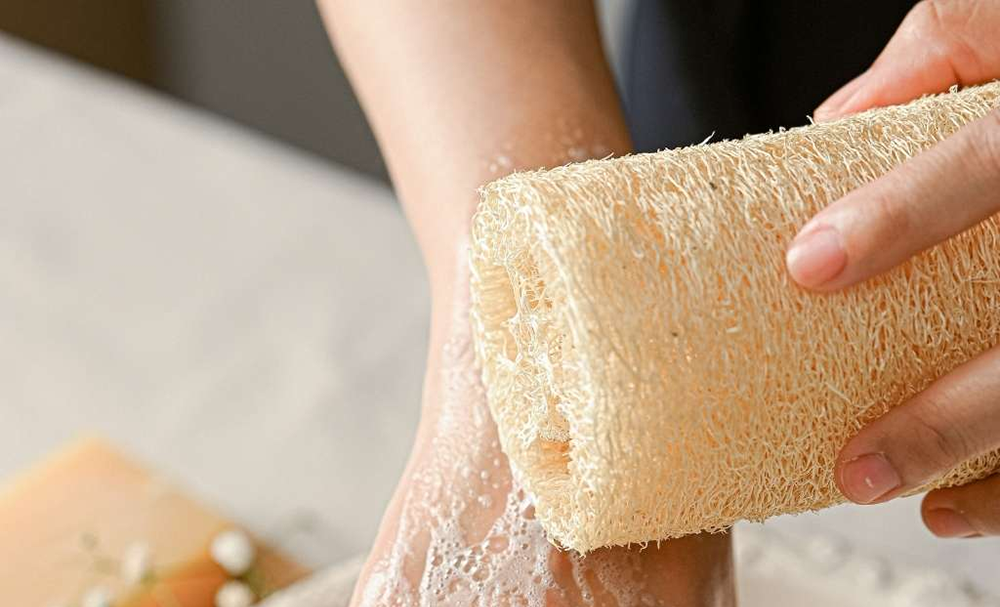 Lợi Ích Của Xơ Mướp: Từ Giàn Mướp Trong Vườn Đến Làn Da Rạng Rỡ