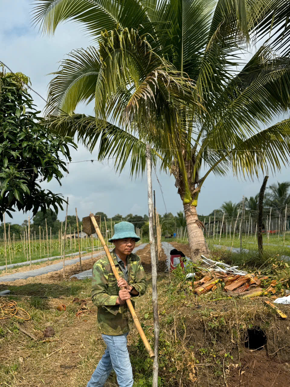 Quy trình trồng mướp lấy xơ đúng chuẩn