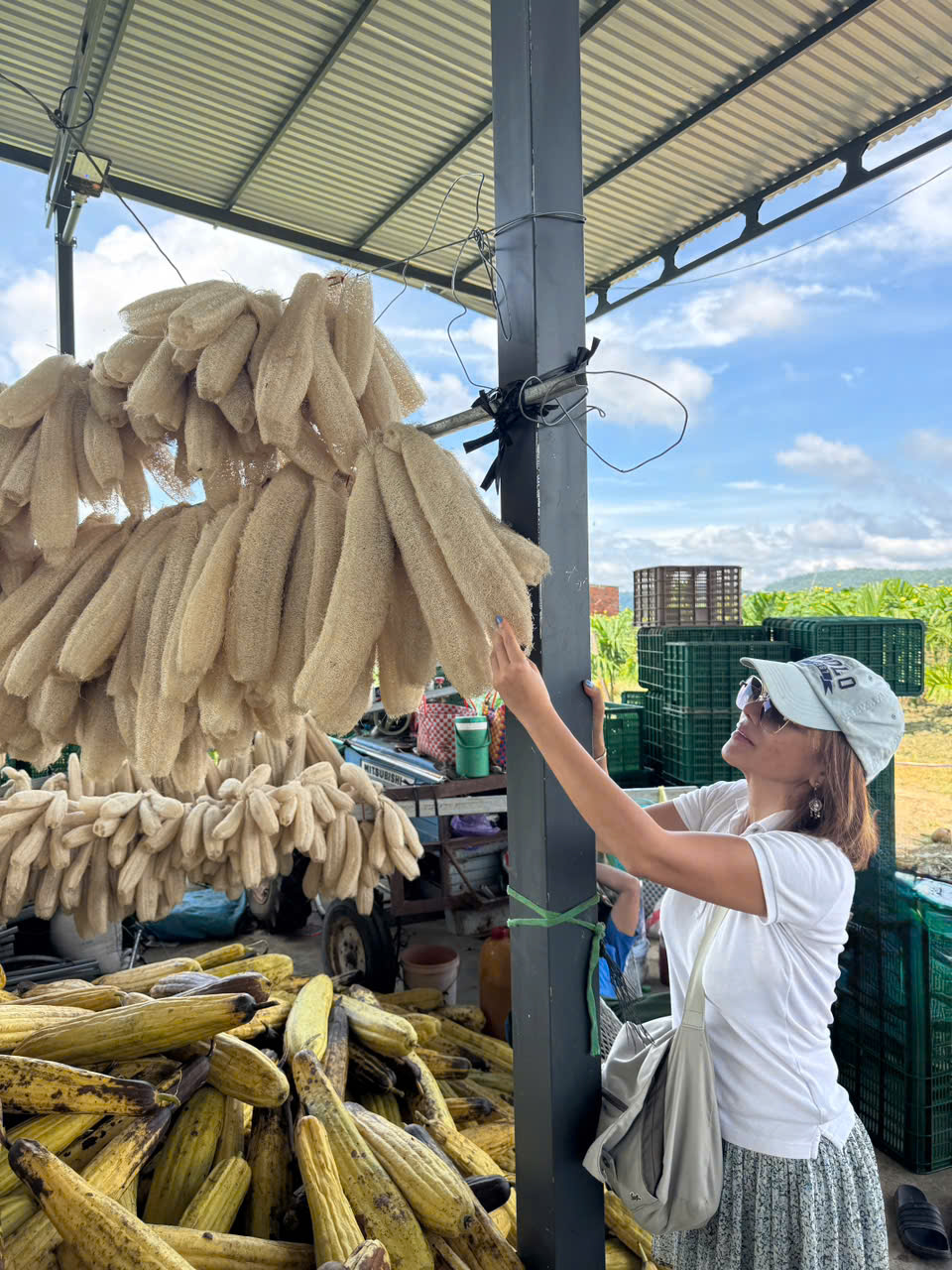 Tự Làm Xơ Mướp Tại Nhà: Bí Quyết Từ A-Z Cho Người Mới Bắt Đầu