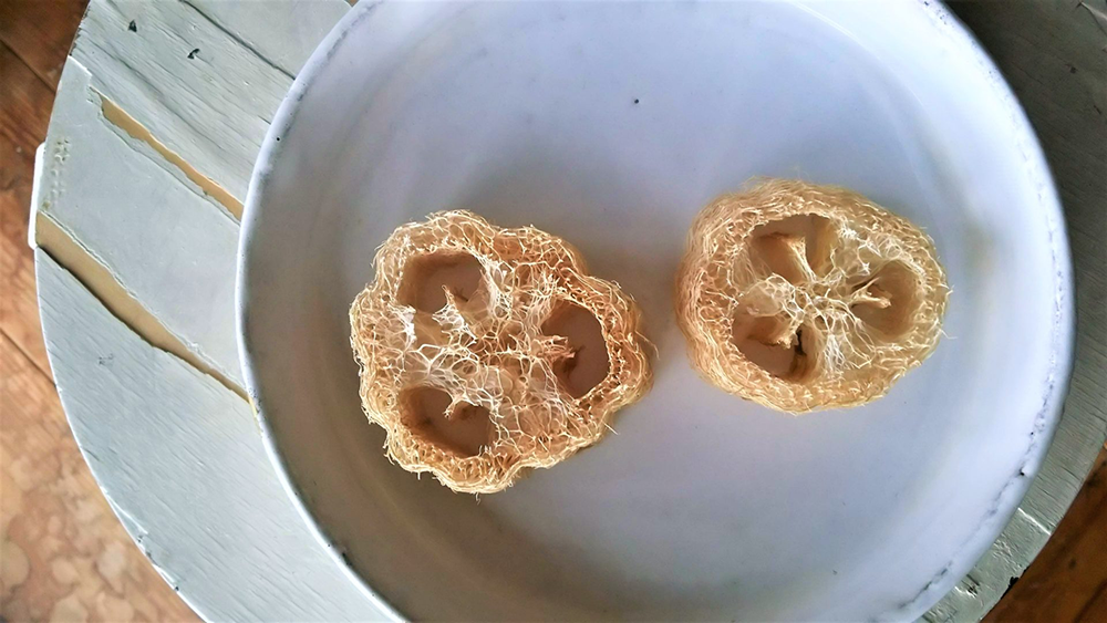 Tự Làm Xơ Mướp Tại Nhà: Bí Quyết Từ A-Z Cho Người Mới Bắt Đầu