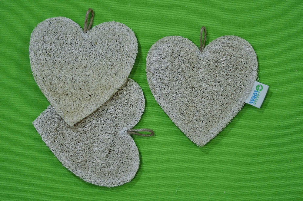 Vietnamese Loofah: A Proud Journey to Conquer 5 Continents