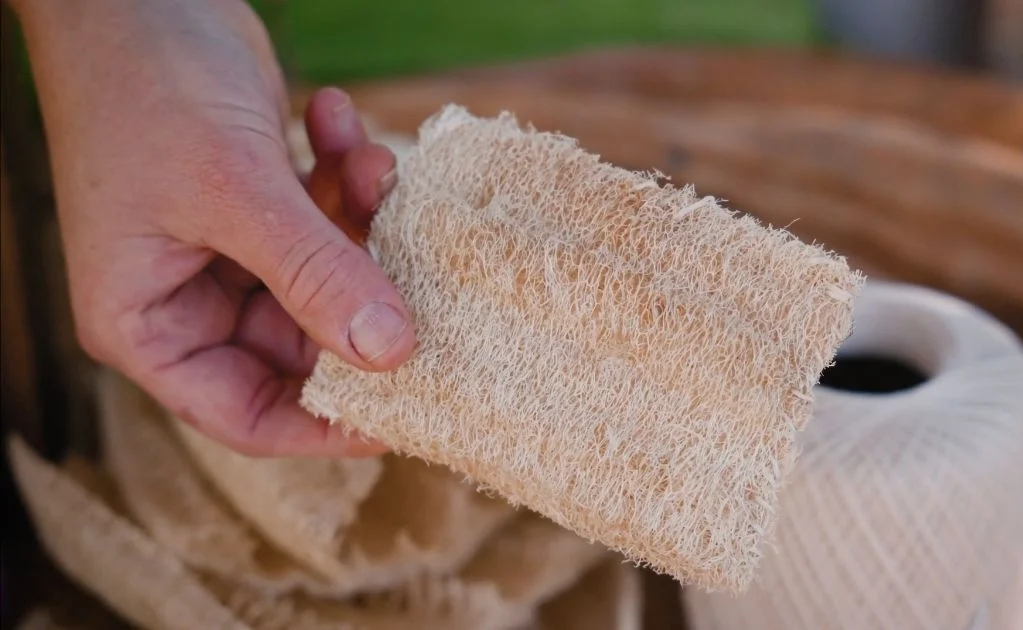 DIY Loofah at Home: The Ultimate A-Z Guide for Beginners