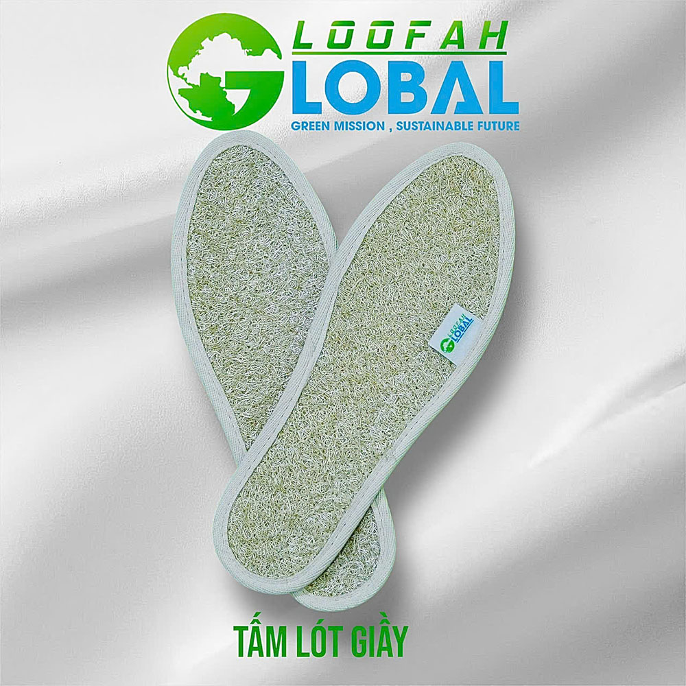 Xơ mướp còn làm được những vật dụng gì ngoài miếng rửa bát?