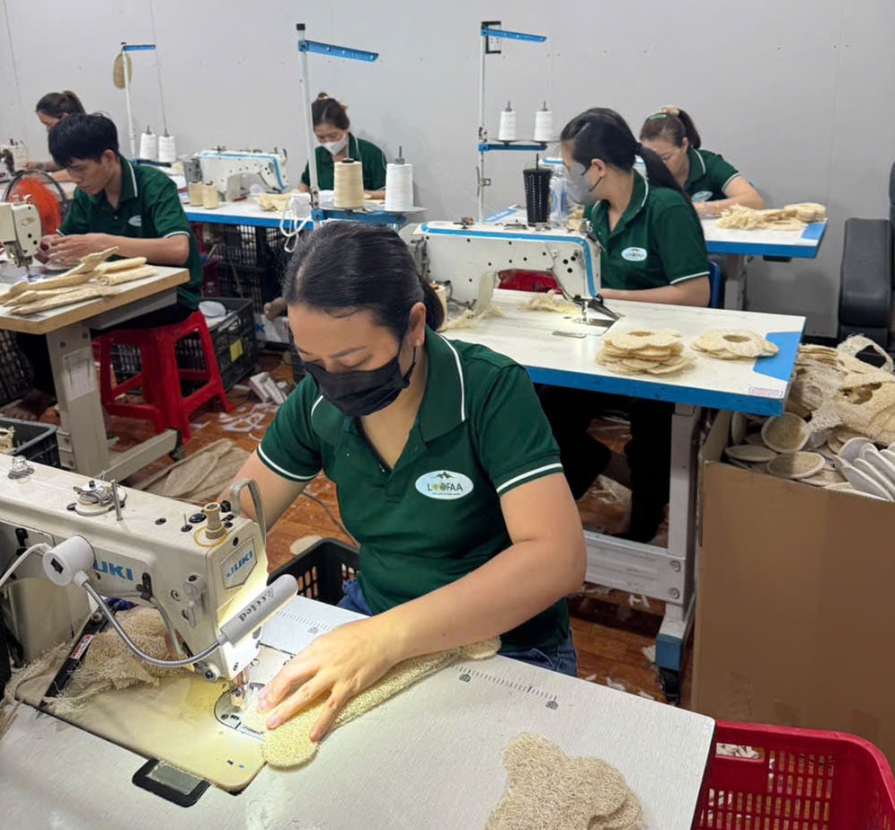 Bộ Lập Tập Xơ Mướp Thủ Công Mỹ Nghệ Tại Loofah Global