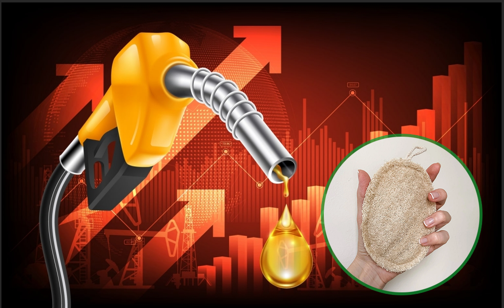 Khủng Hoảng Năng Lượng Toàn Cầu: "Cơn Gió Ngược" Đối Với Ngành Xuất Khẩu Xơ Mướp