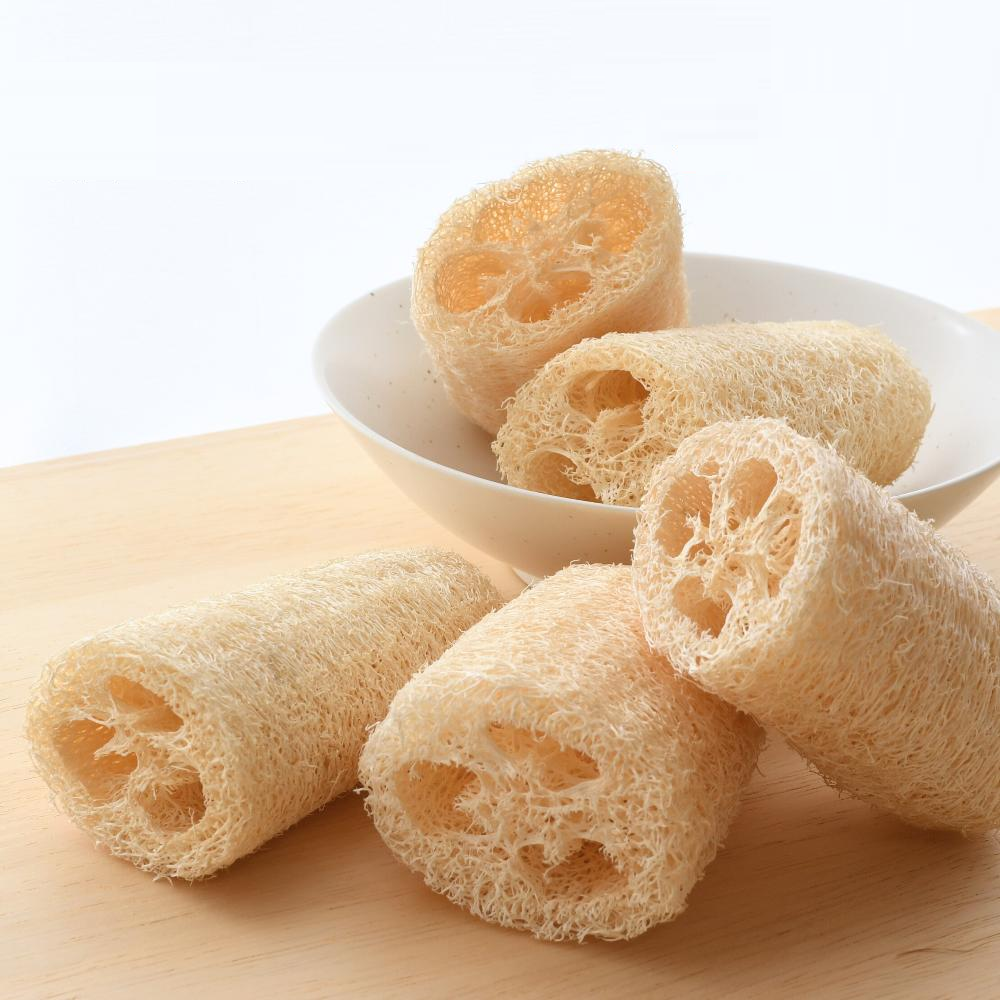 Xơ Mướp Việt, Lời Thì Thầm Từ Cao Nguyên