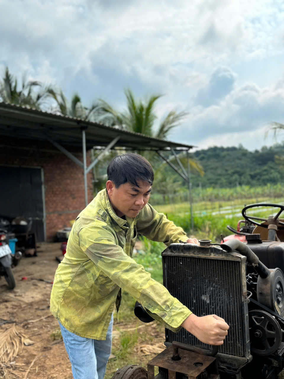 Bí Quyết Trồng Mướp Sai Quả: Hướng Dẫn Kỹ Thuật Toàn Diện